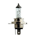 Lampadine per auto