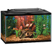 Acquario Acquario
