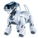Robot d'intrattenimento Robot d'intrattenimento