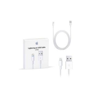 Apple Cavo da Lightning a Usb 1mt