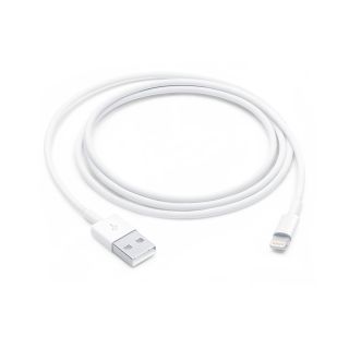 Apple Cavo da Lightning a Usb (1 M)