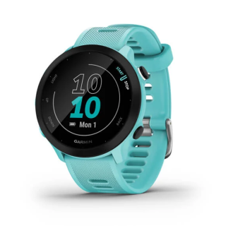 Garmin Forerunner 55 2,64 Cm (1.04") Mip 42 Mm Digitale 208 X 208 Pixel Gps (satellitare)
