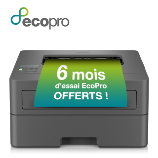 Brother Hl-l2400dwe Stampante Laser 1200 X 1200 Dpi A4 Wi-fi