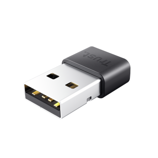 Trust Myna Ricevitore Usb